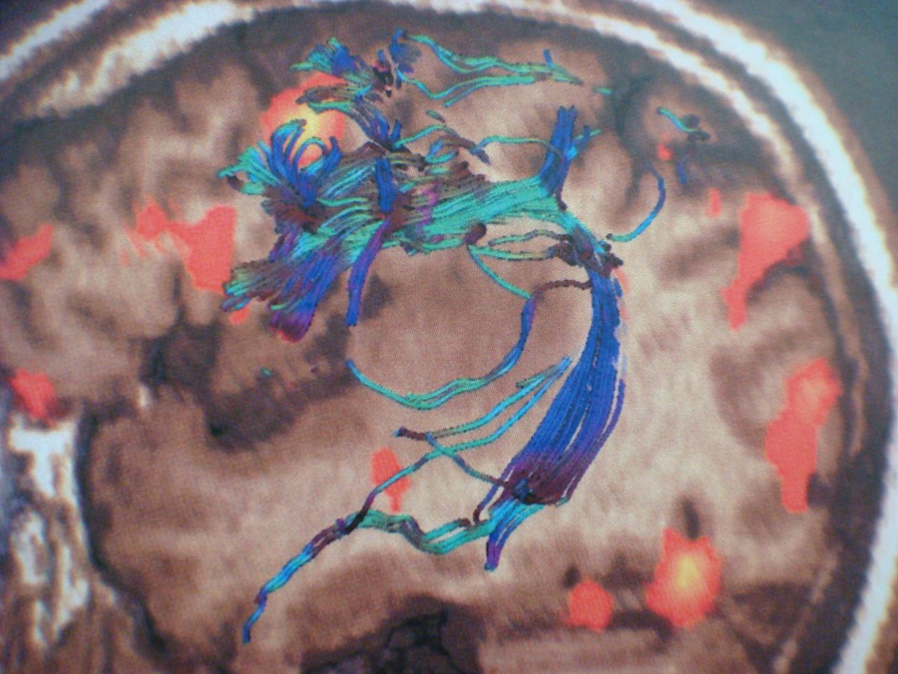 Leonardo Conrado Silva Lima-6