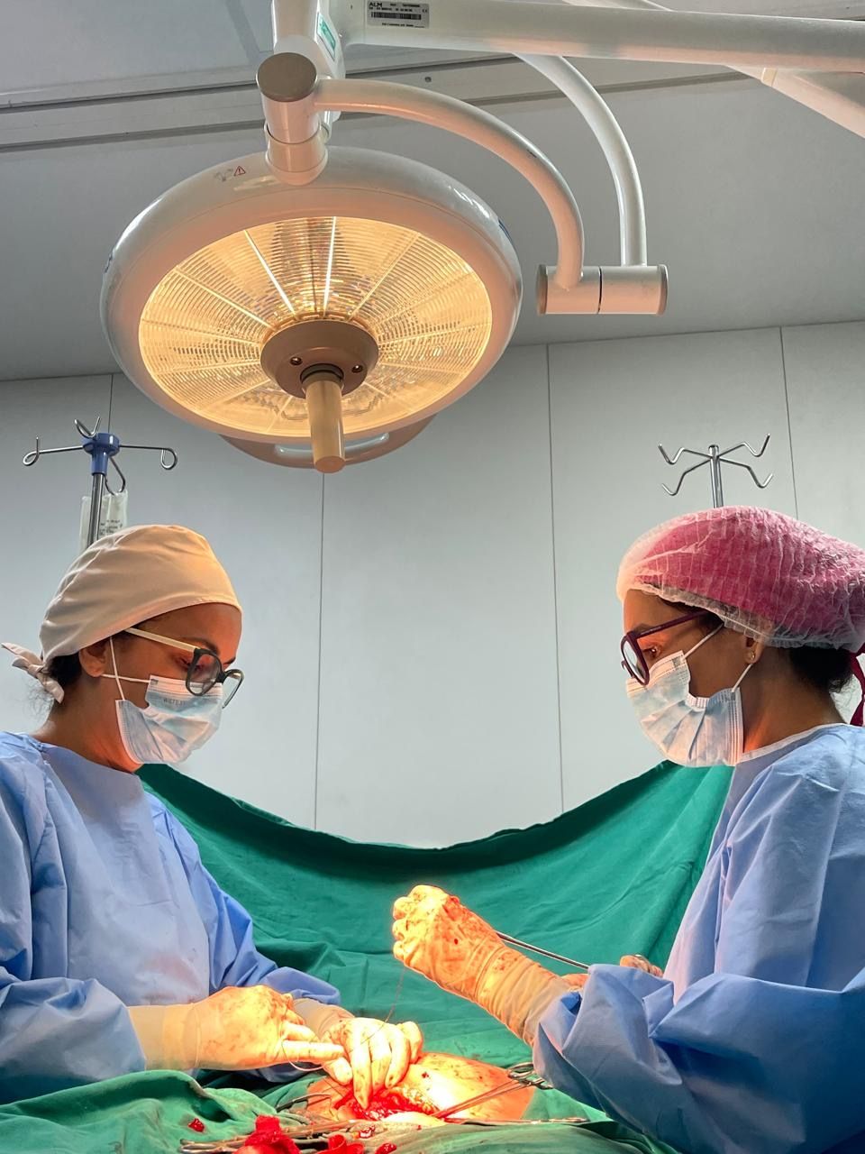 Vivian Regina Santos Bianchi-3