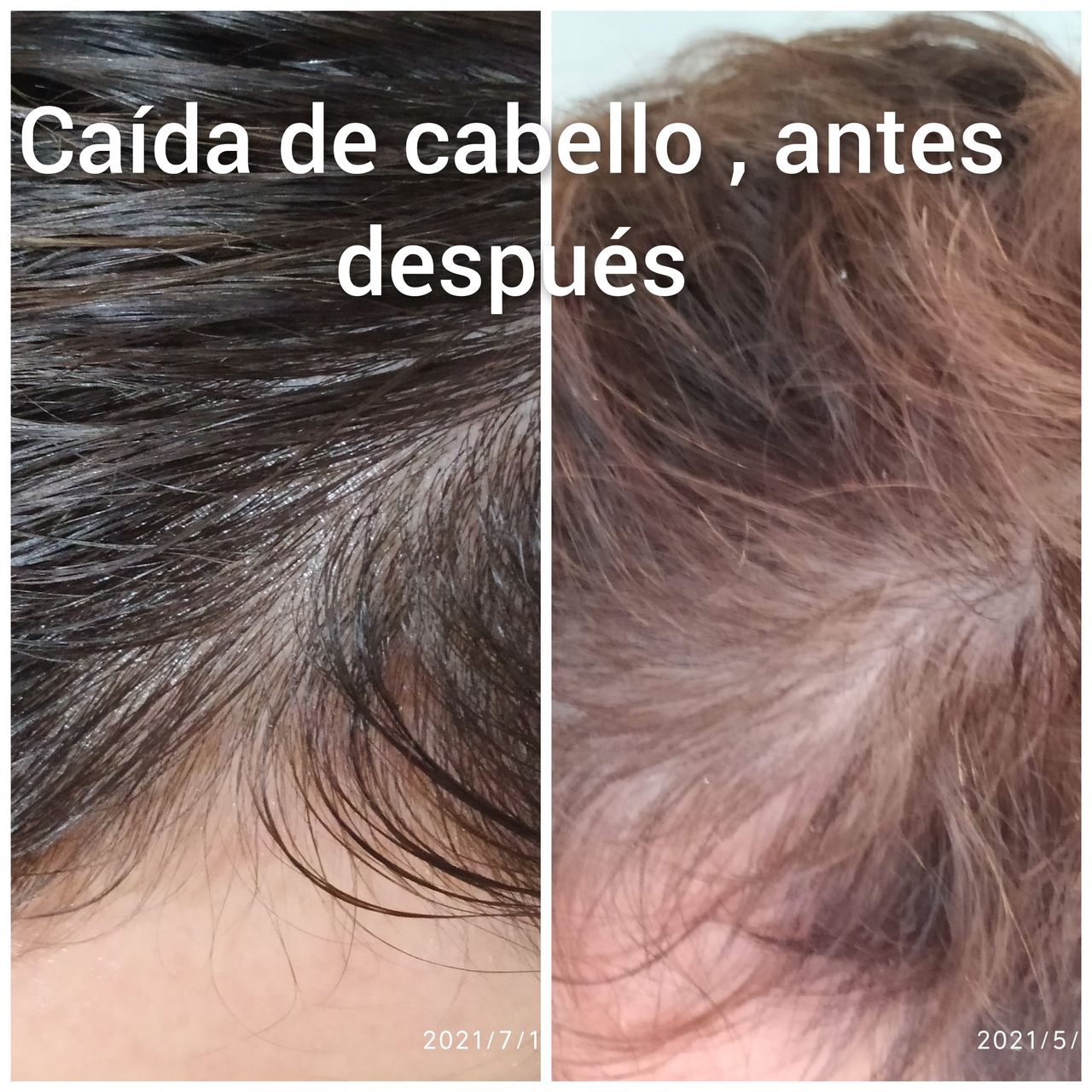 Alejandra Meijide-28