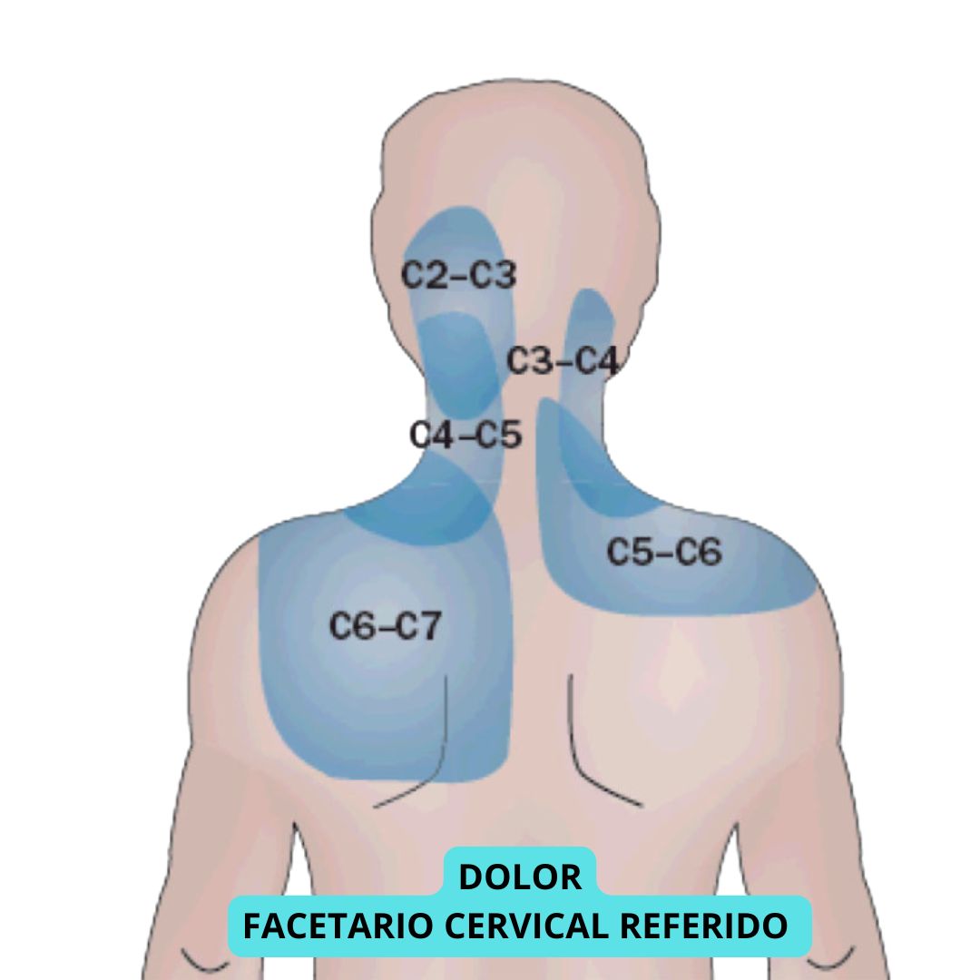 David Tafur Muñoz-2329