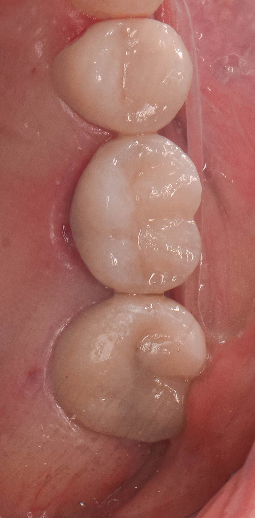 Edith Molina Miranda-8