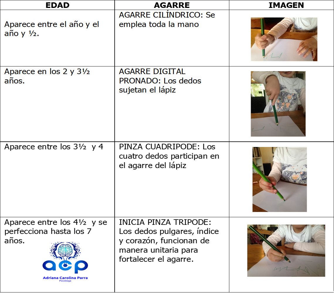 Adriana Carolina Parra Pineda-11