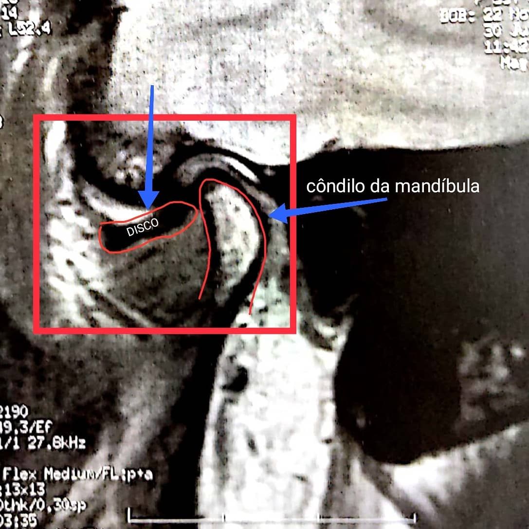Renato Barjona Miranda De Miranda-5