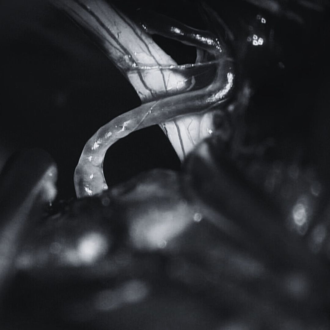 David Tafur Muñoz-2303