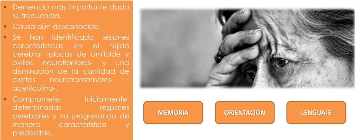 Paulo Paredes Barrera-3