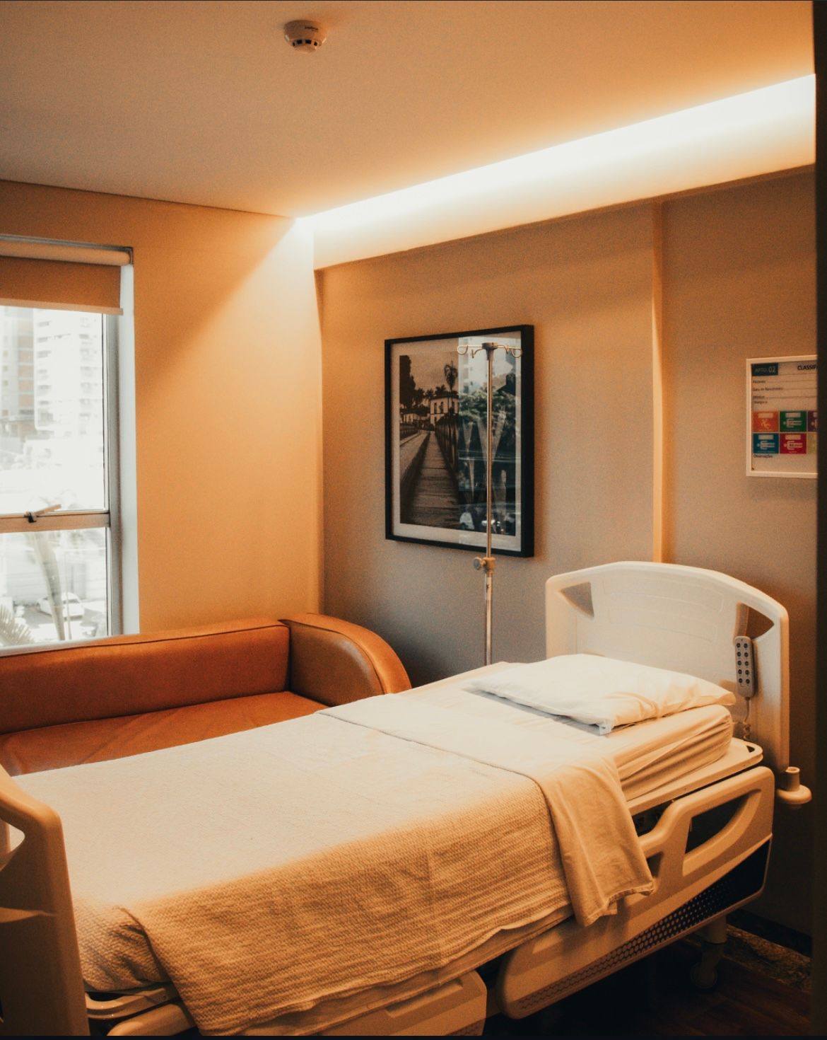 Camila Ávila Geraissate-14