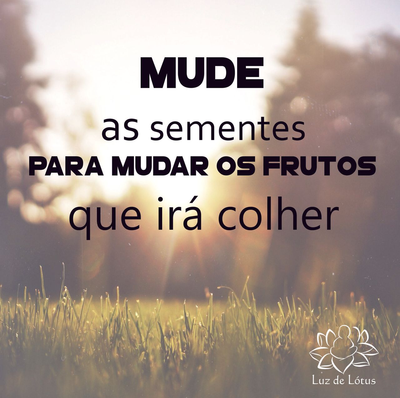 Gilmara Cabral M. Bulhões-3