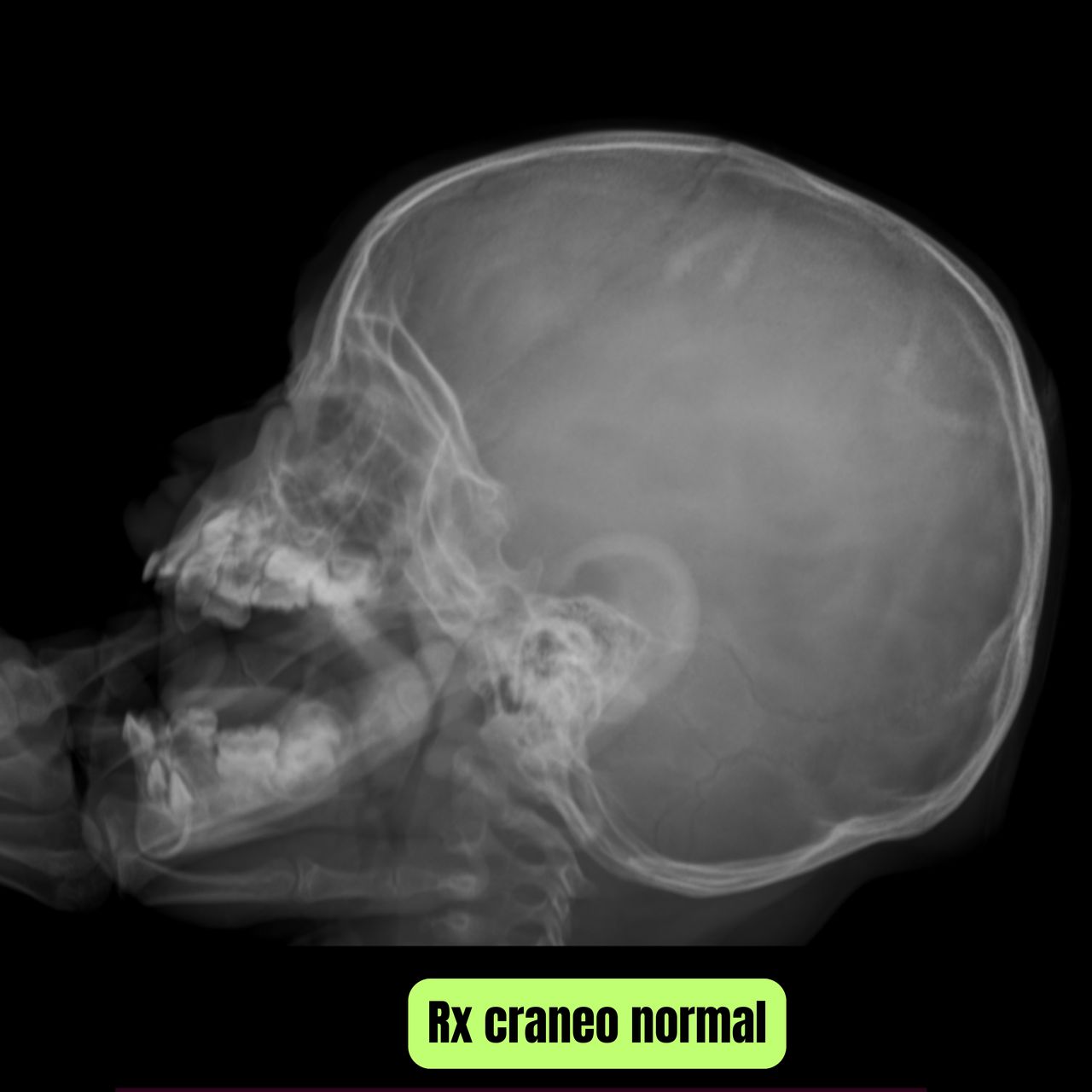 David Tafur Muñoz-2143