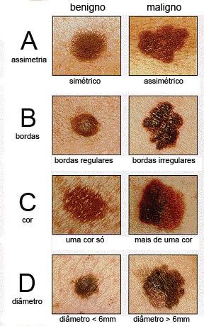 Sérgio Henrique Ferraz-8