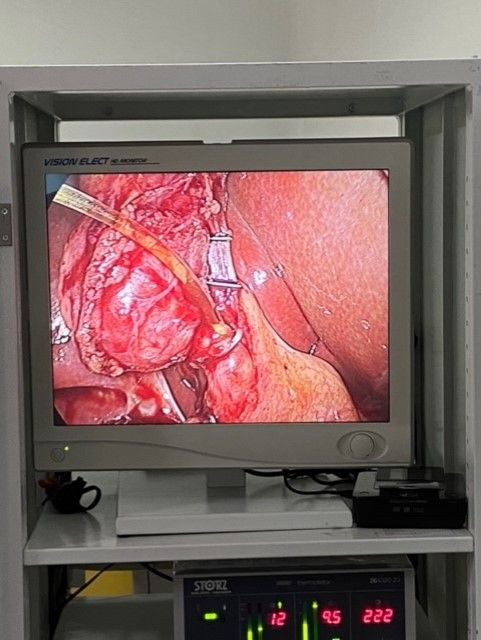 Guilherme Amadeu Poleto-60