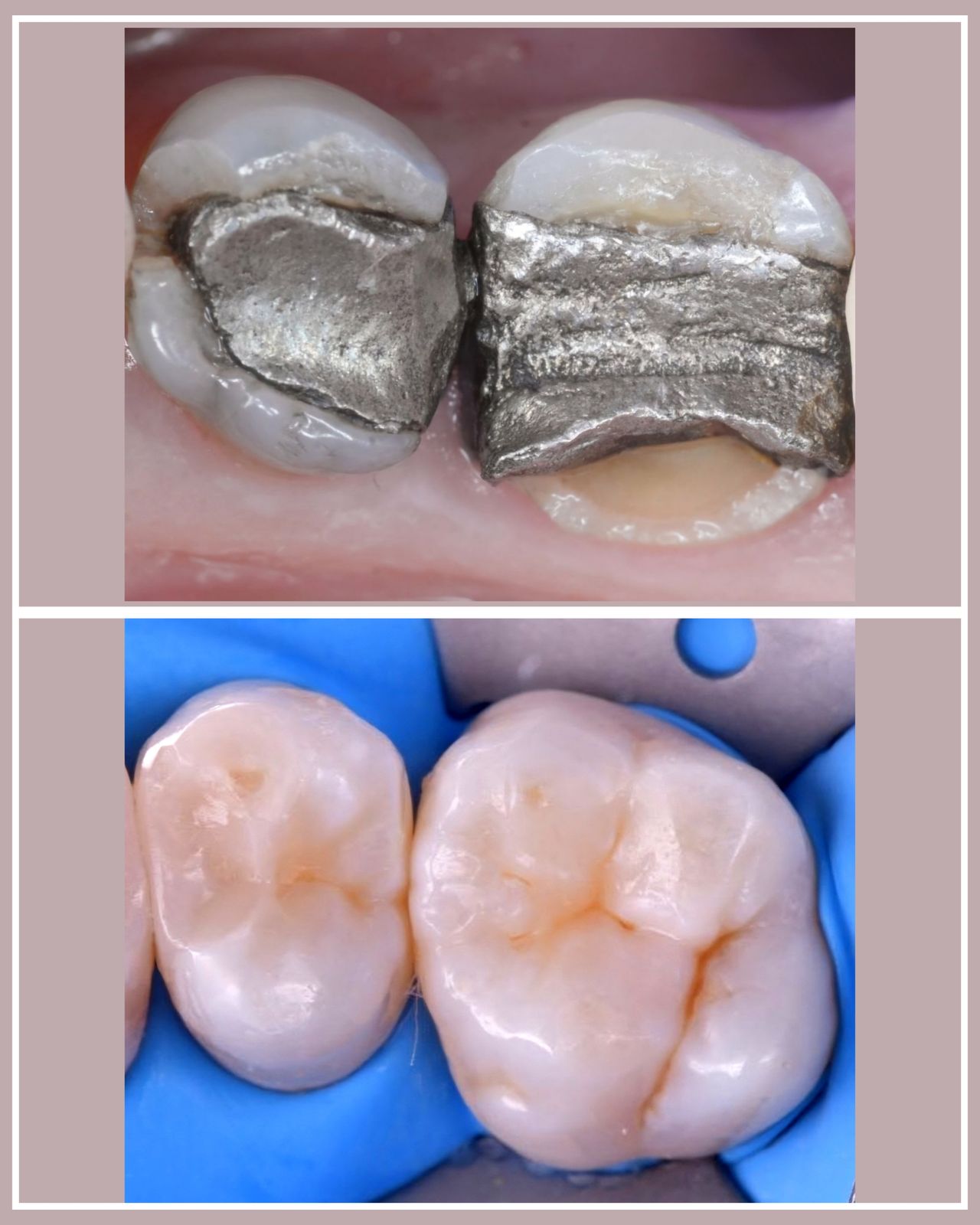 Ana Virginia  Pinheiro -6