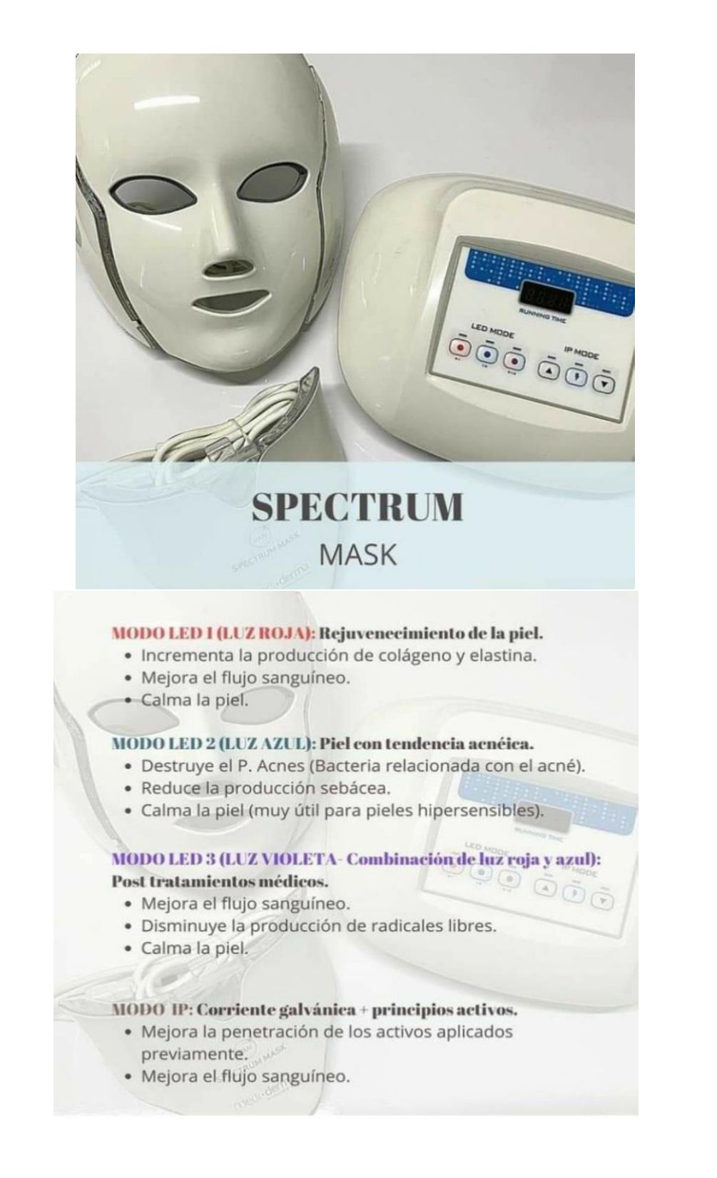 Fedra Polo Garcia-13