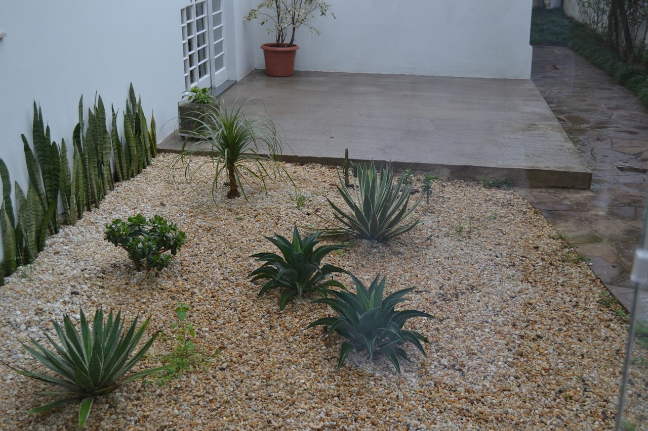 Paulo Satiro De Souza-2