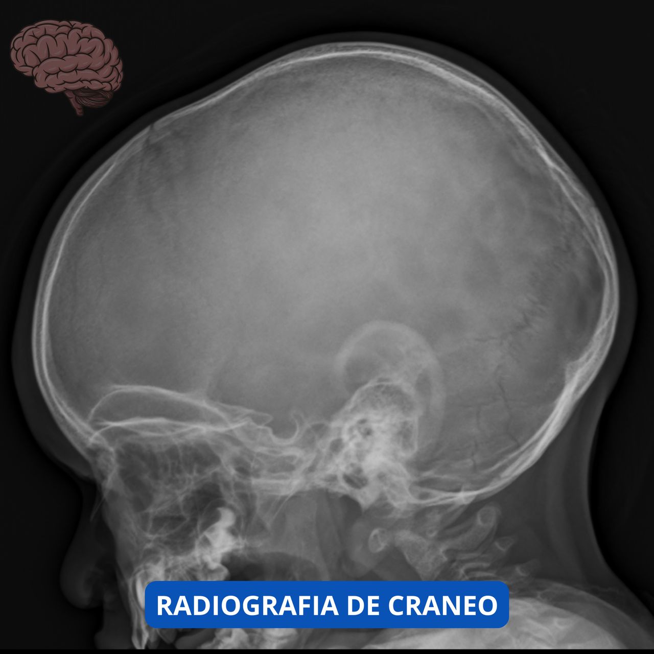 David Tafur Muñoz-1527