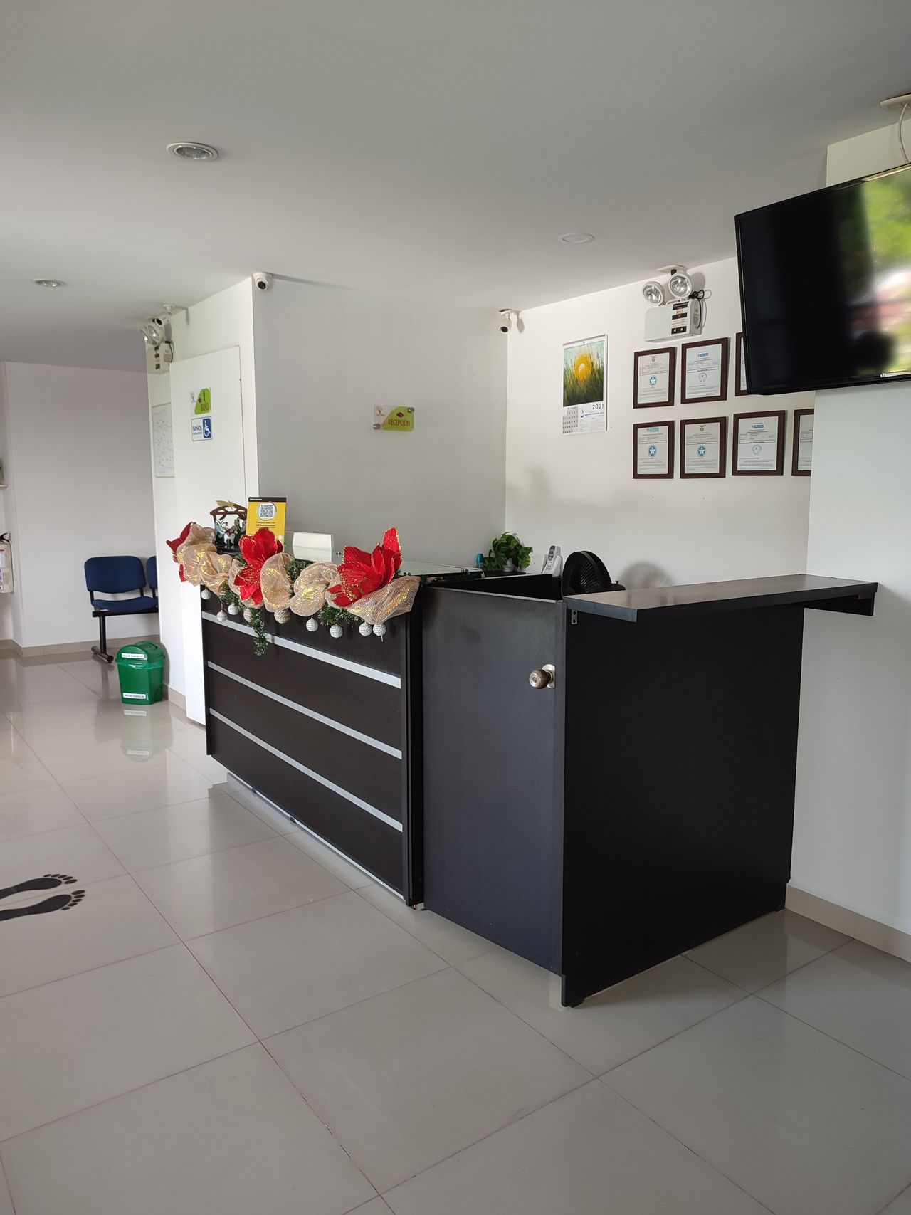 Dolly Vanessa Rojas-3