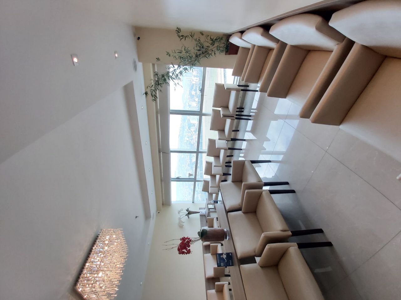 Cristiane Araujo Bins-5