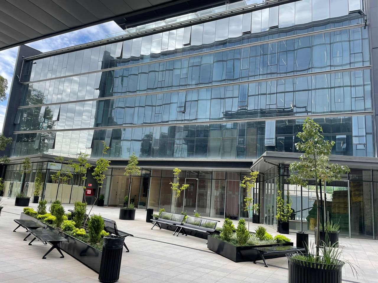 María José Santelices Sazo-2