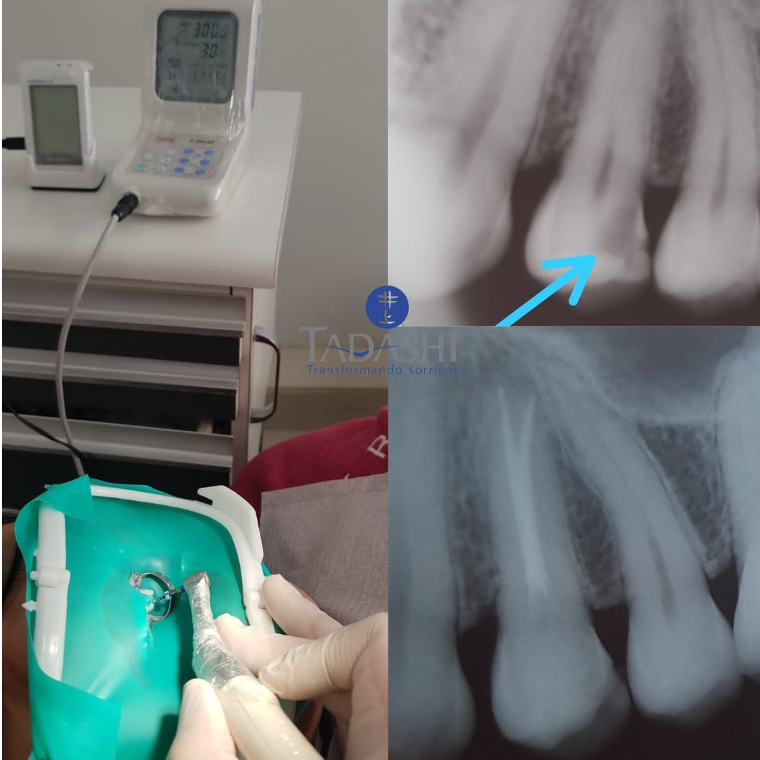 Daniele  Sunto Spinola-1