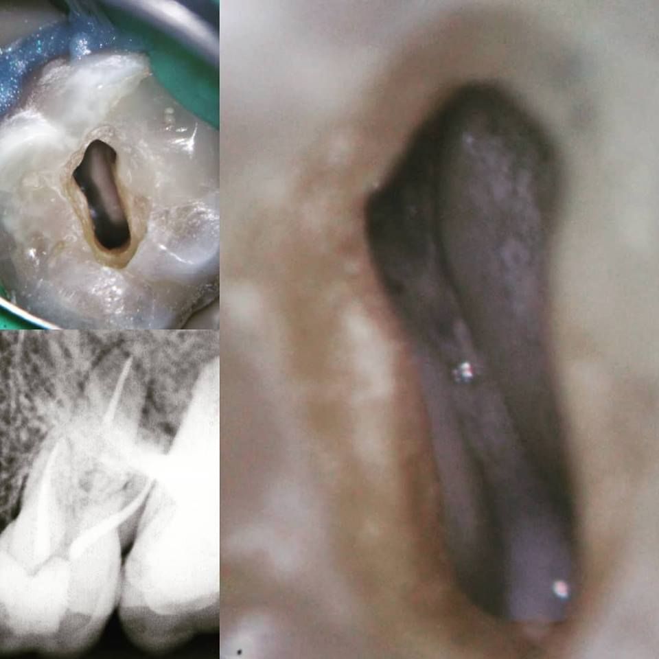 Andréa Longoni Fredrich-3