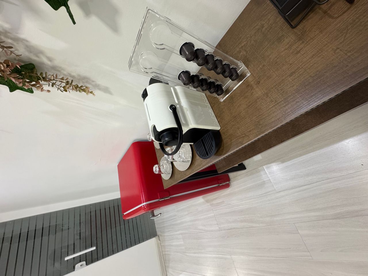 Renata Christina Touma-2