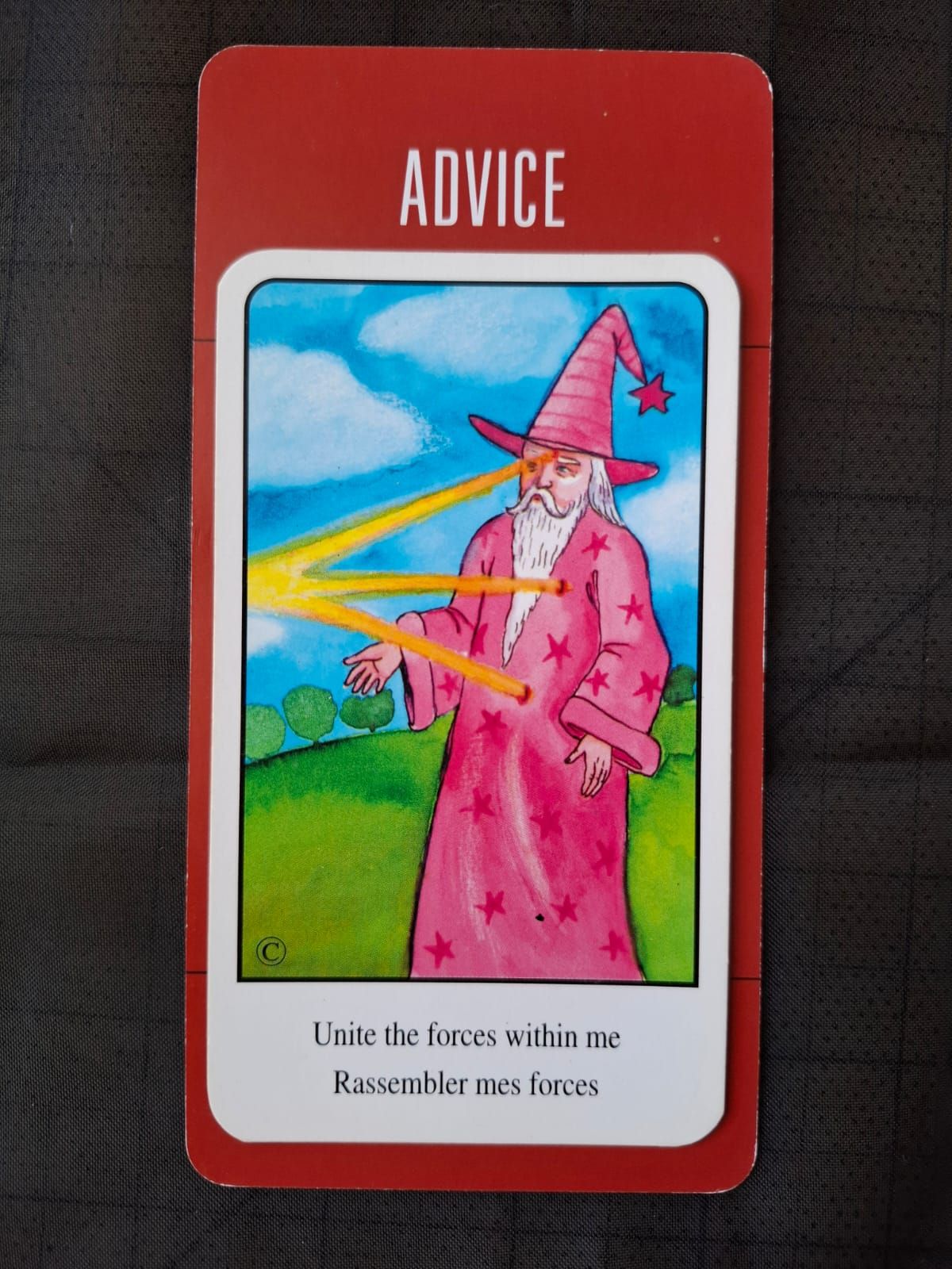 Maria Manuela Ferreira-6