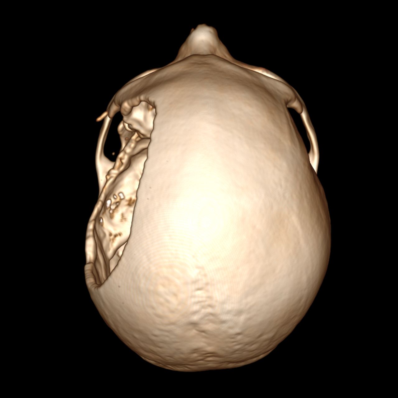 David Tafur Muñoz-1329