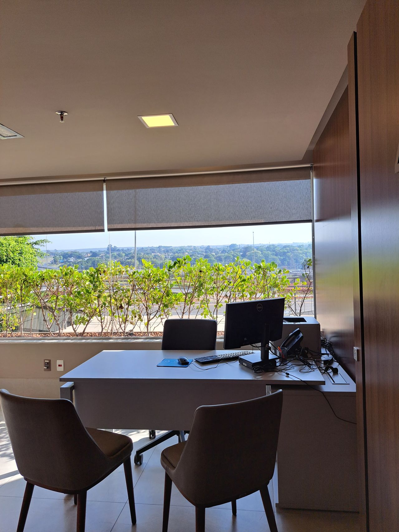 Alyne Ornellas Neves-0