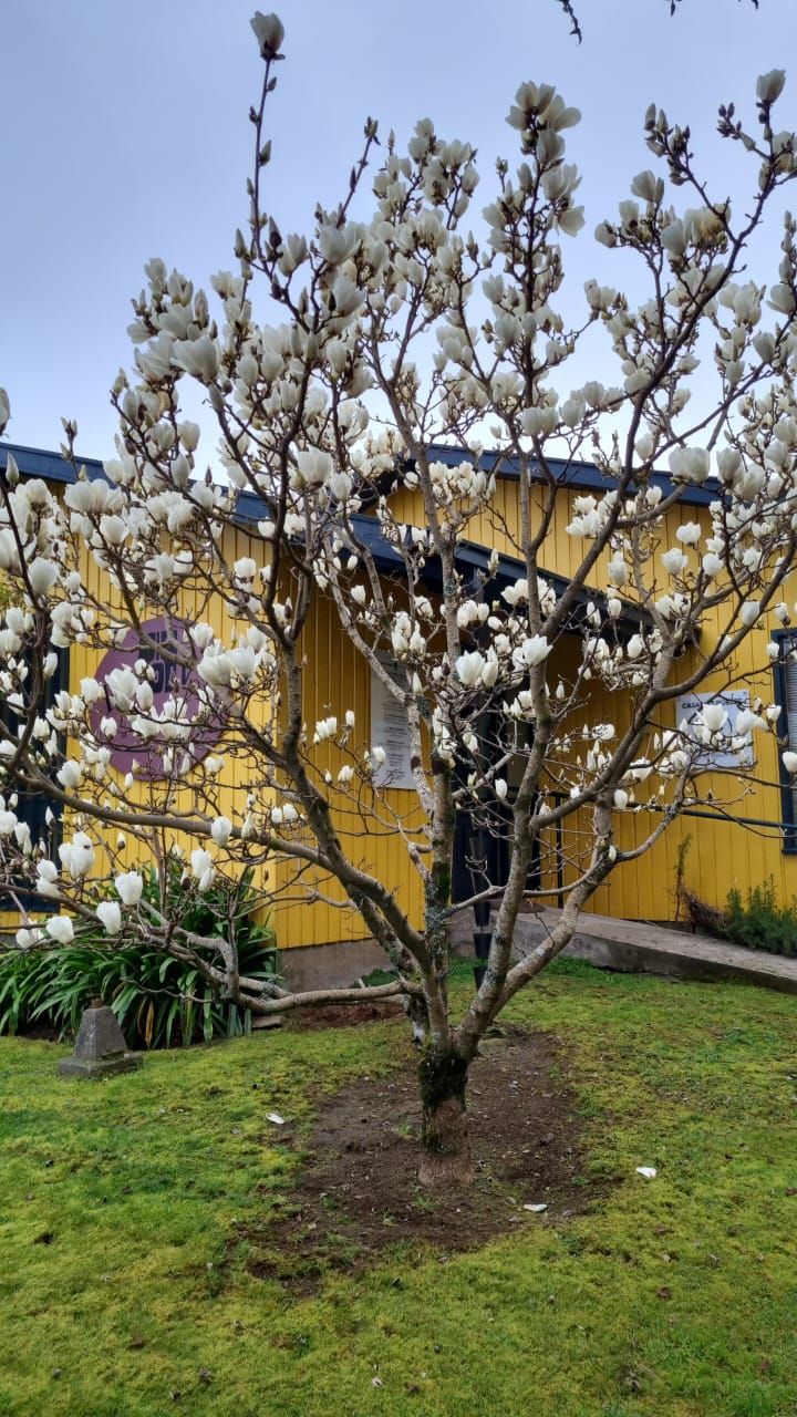 María José Rojas Solís-0