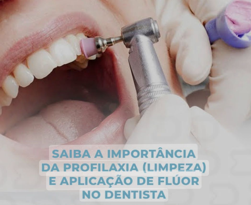 Maria Isabel Freitas Pinheiro-15