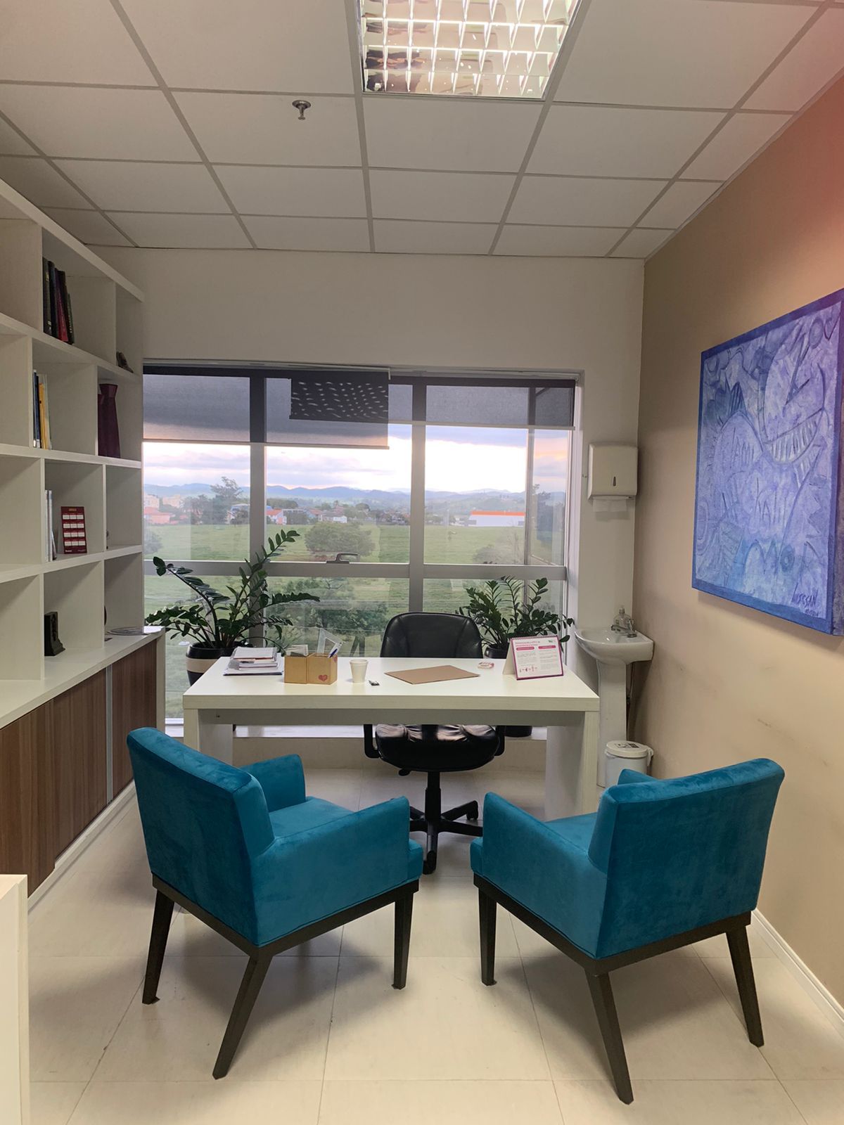 Telami Espíndola De Souza Smidi-1