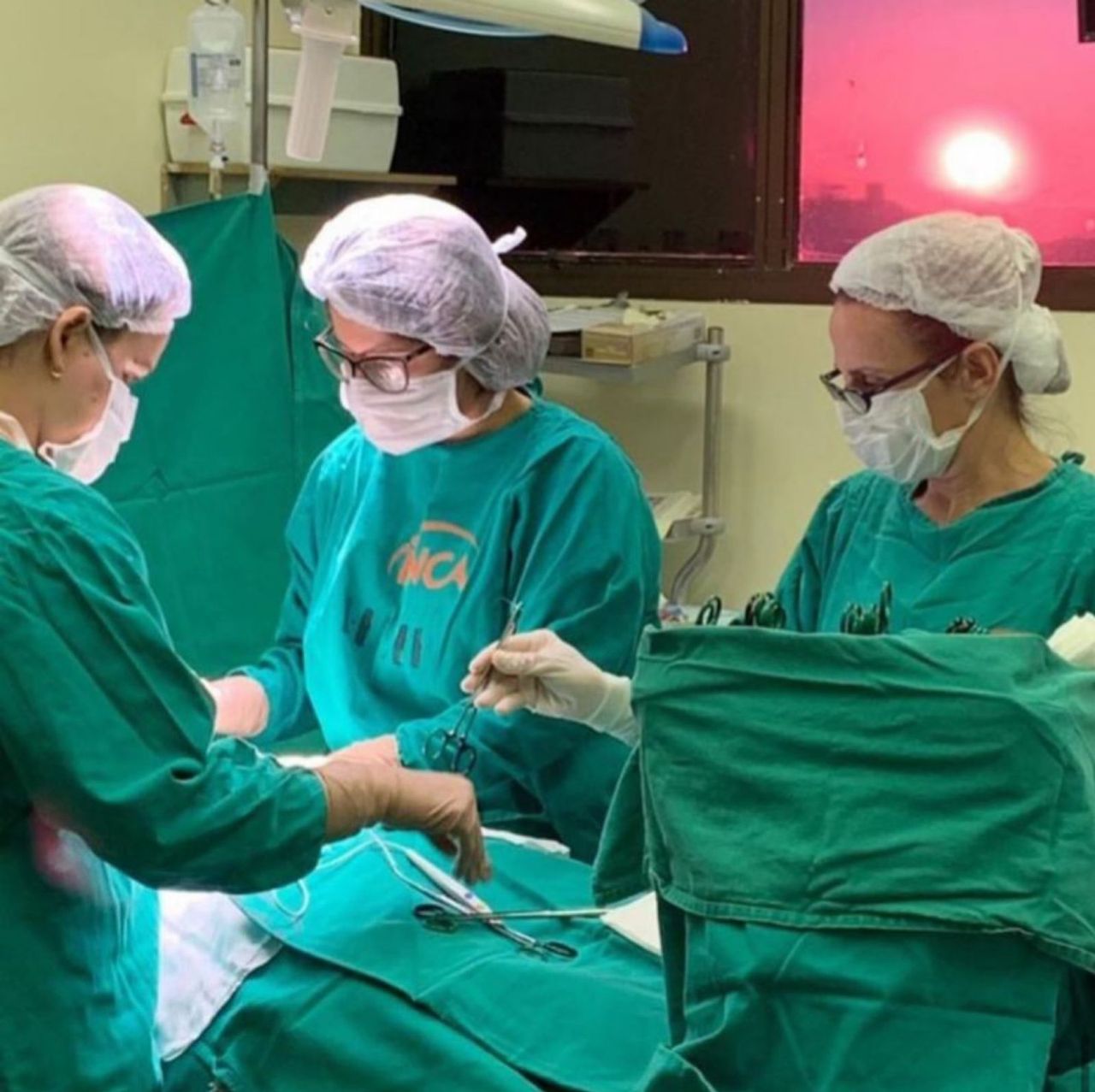 Rita Anieli Rocha-10