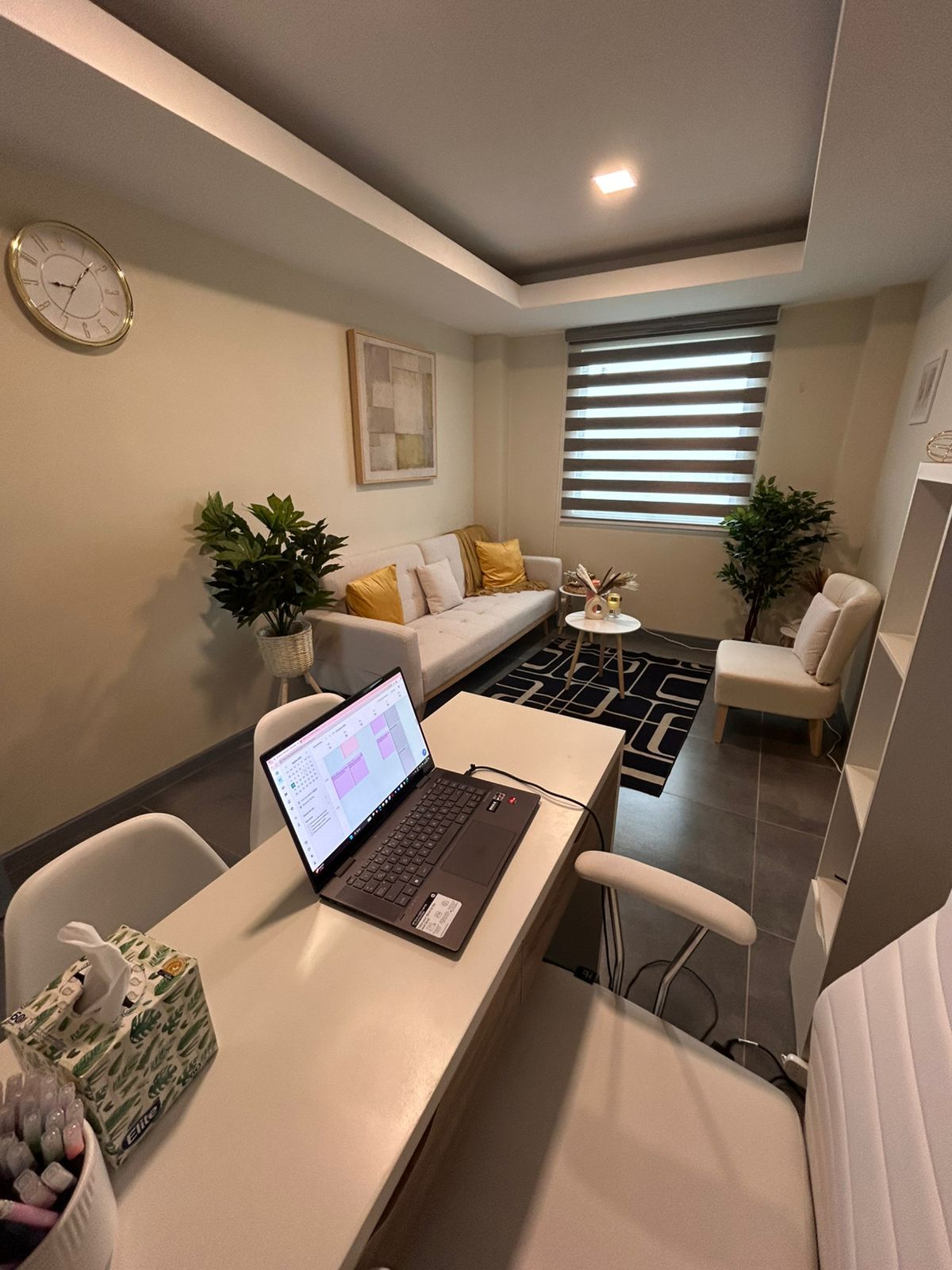 Valeria Estefania Colmann Barrera-11