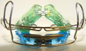 Daniela Hildebrand-19