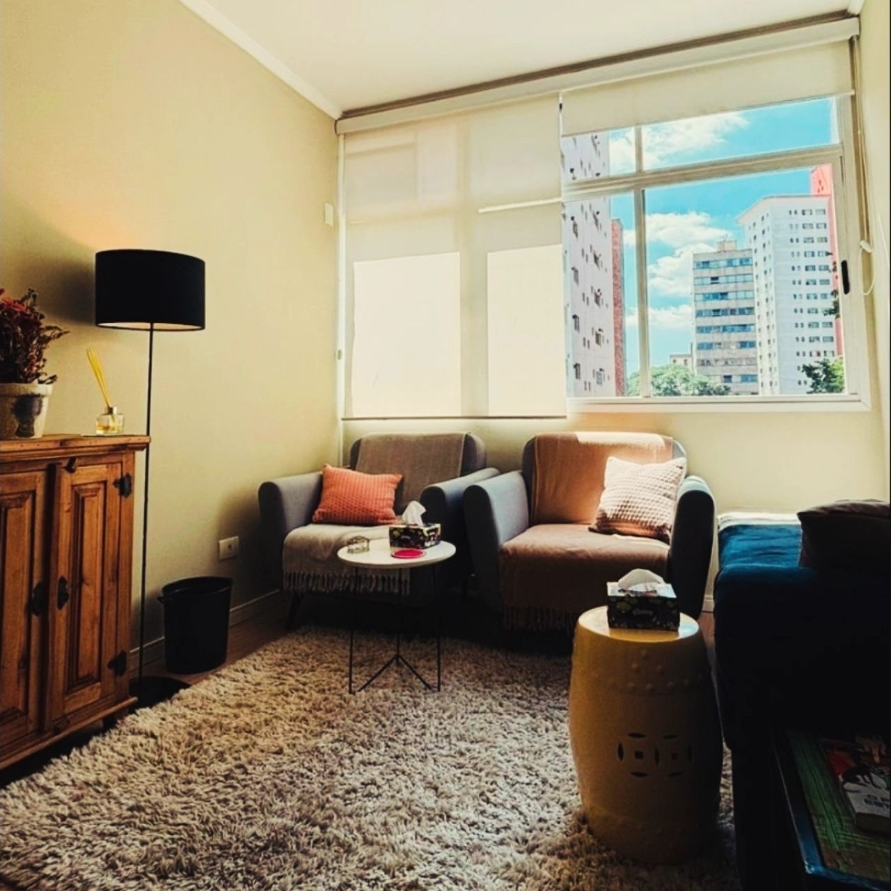 Renan  Pimentel Pinheiro De Oliveira-2