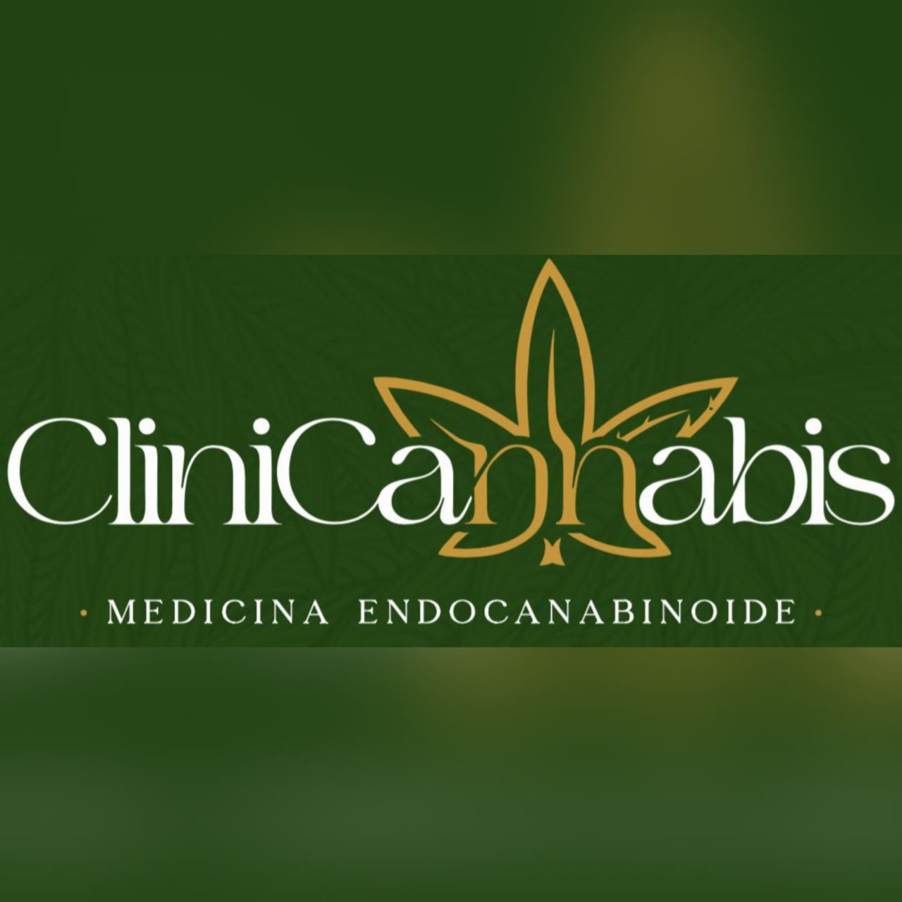 José Carlos Domingues Júnior-0