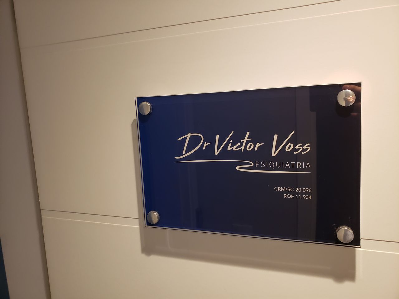 Victor Raphael Corrêa Voss-7