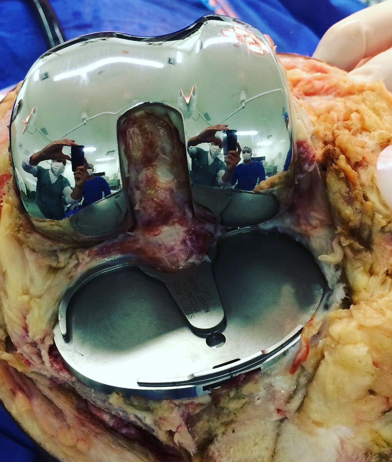 Alexandre Terruggi Jr-3