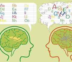 María Carolina Amaya Triana-6