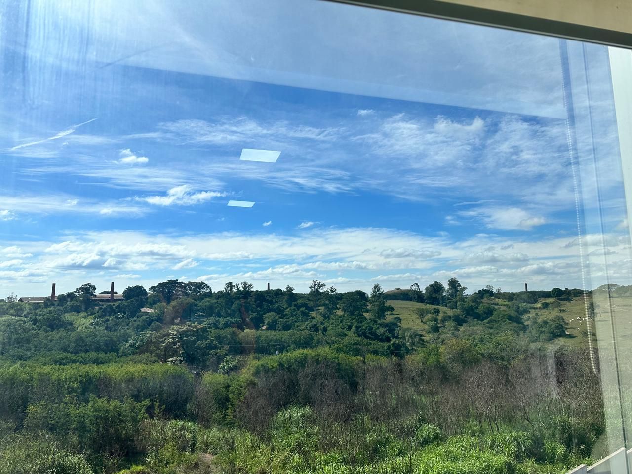 Bárbara Slywitch Noronha-2