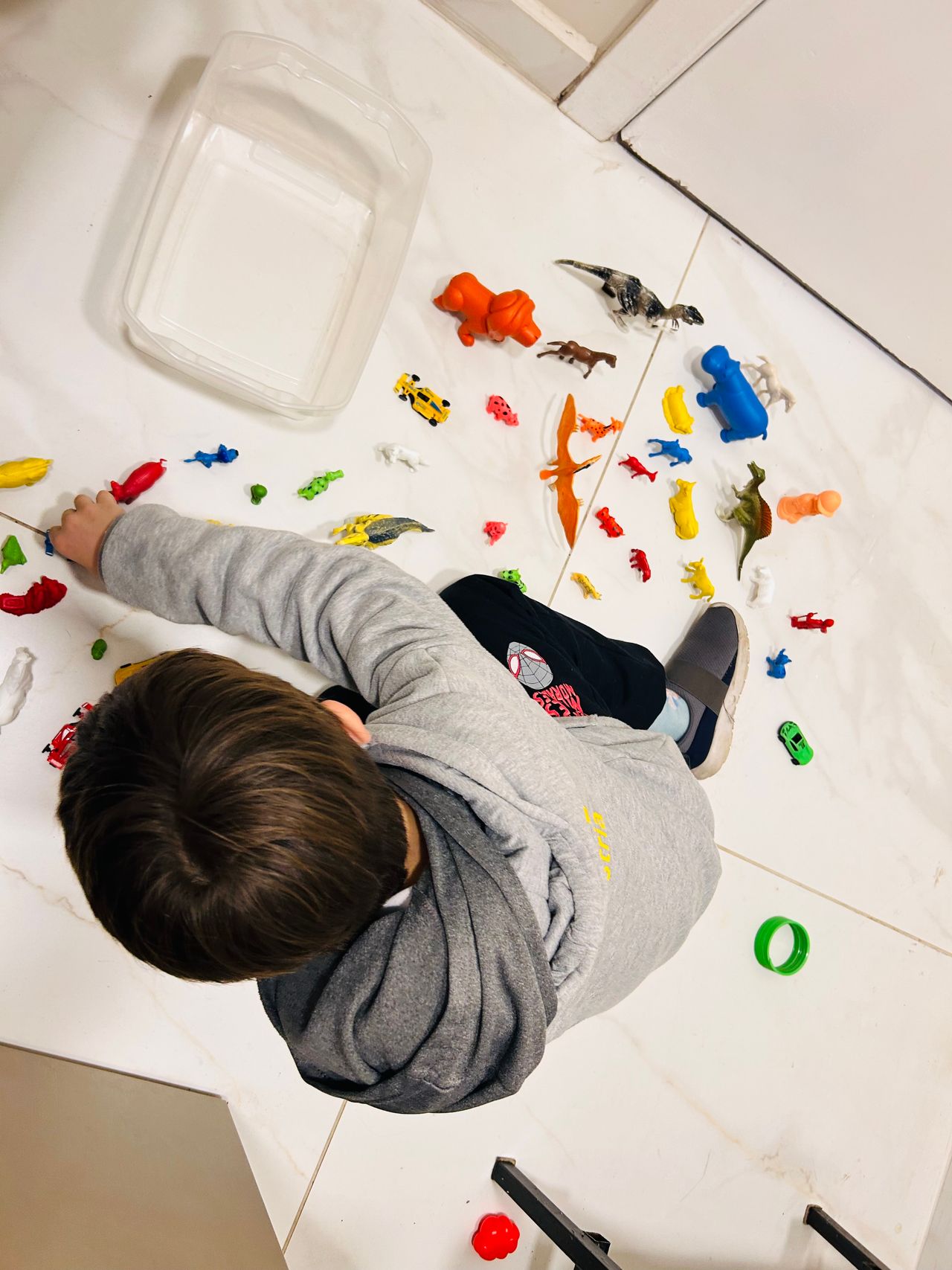 Rose Meire Giane Ricardo De Oliveira Crivelli-17