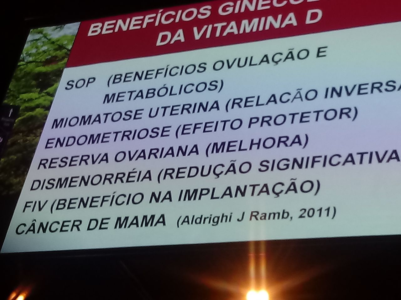 Renata Wanderley Nogueira-42