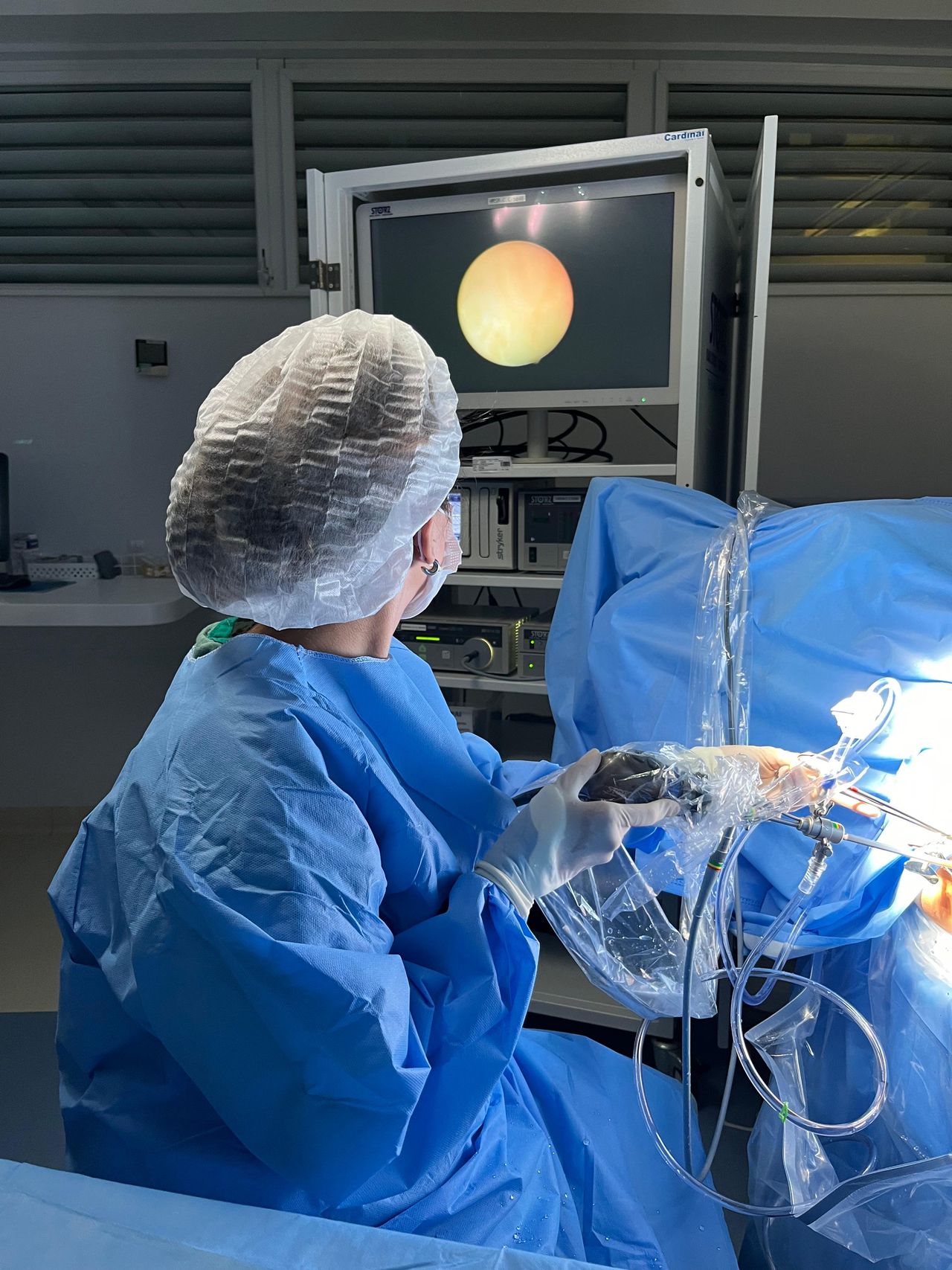 Larissa Mirella Macedo Rabello-0