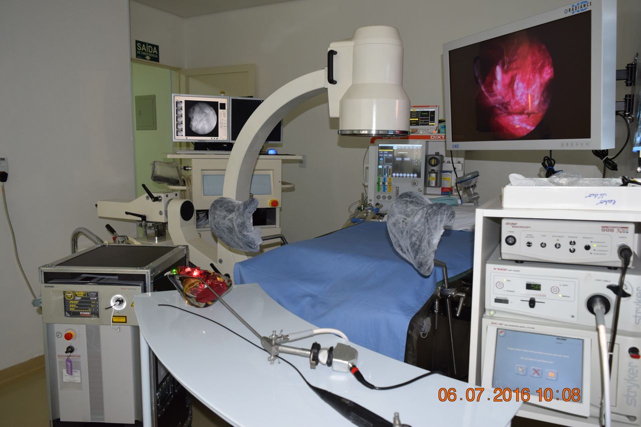 Edson Hiroshi Hayacibara-7