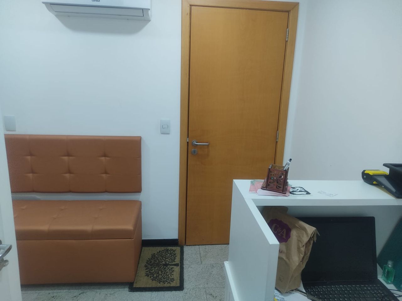 Ana Paula Quintanilha Dos Santos-1