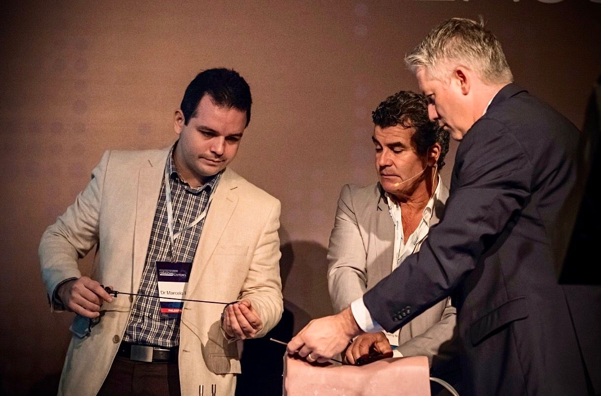 Marcelo Botelho Soares De Brito-2