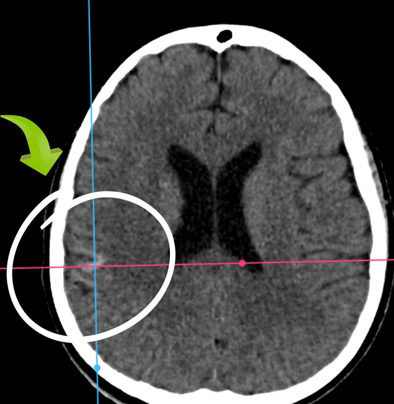 David Tafur Muñoz-1760