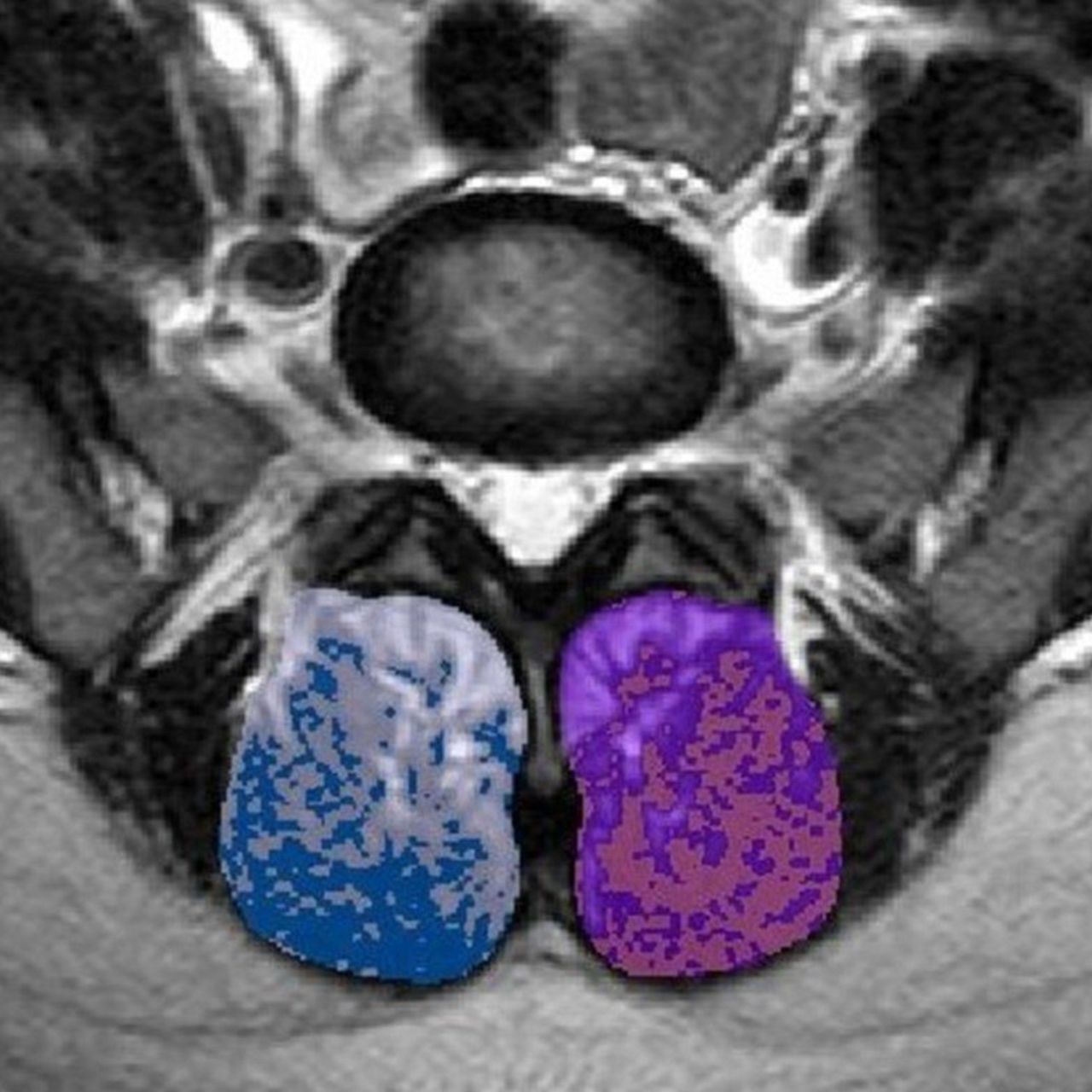 David Tafur Muñoz-1641