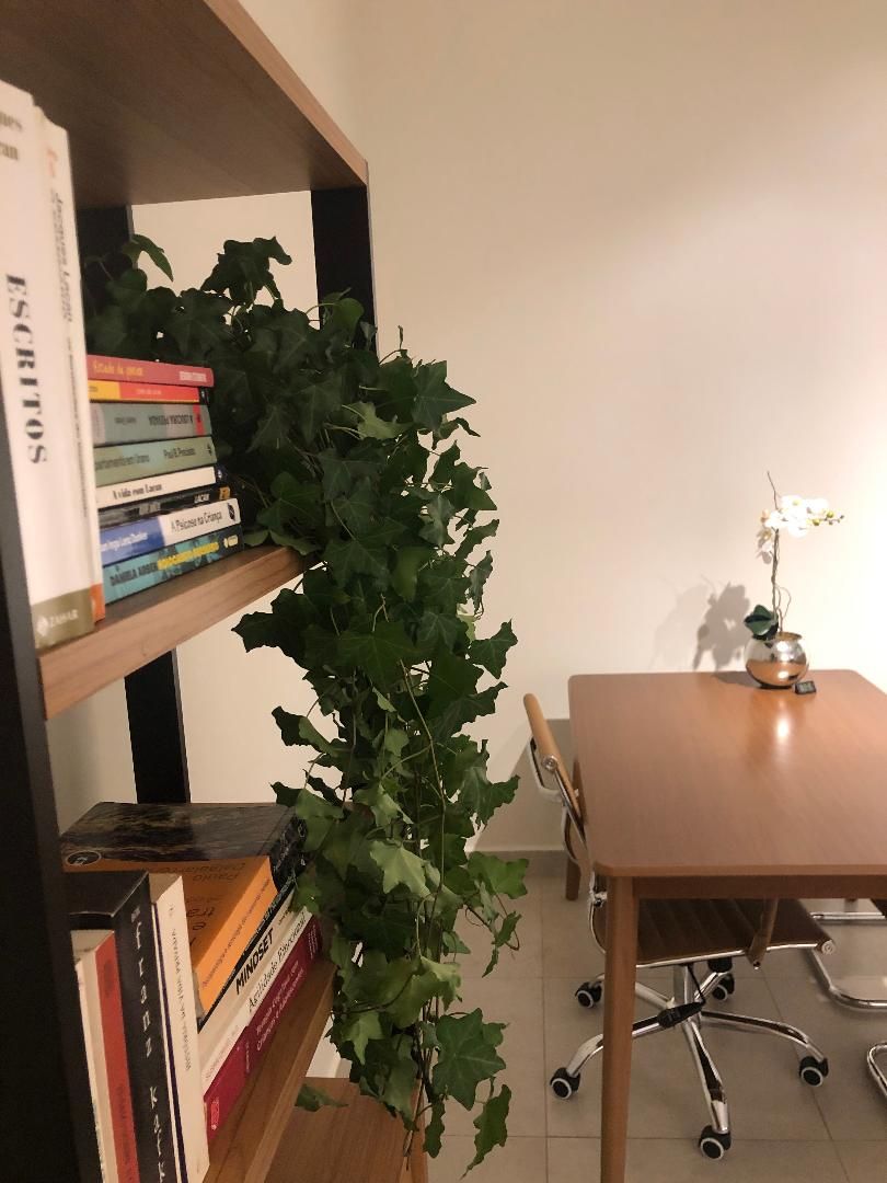 Priscila Reis Abreu Monici-7