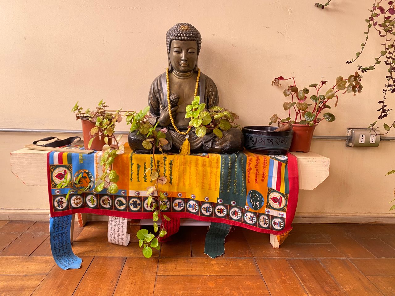 Javiera Cifuentes Meza-0