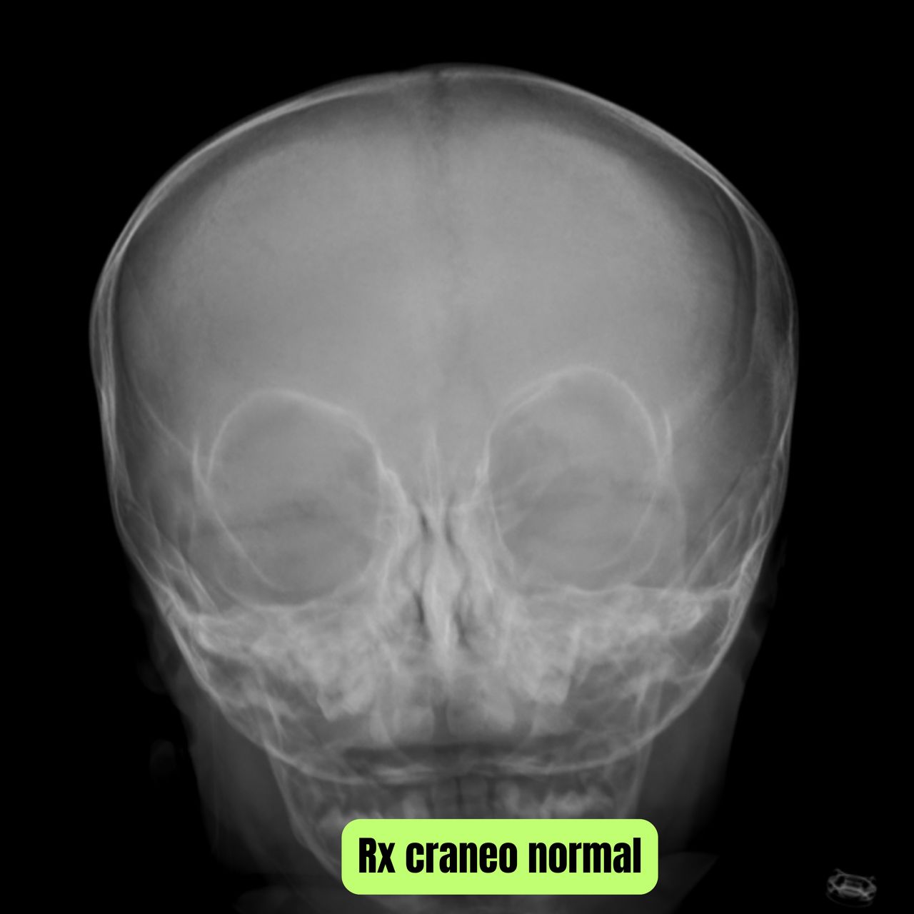 David Tafur Muñoz-1026